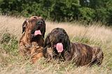 FILA BRASILEIRO 098